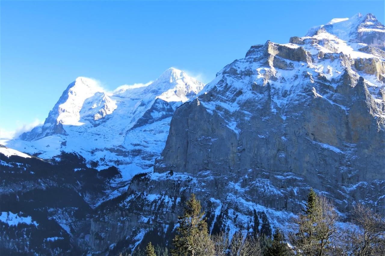 Ferienwohnung Chalet Raufthubel Mürren Exterior foto